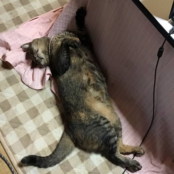 73c272ba b044 4e84 b8ce ac803afa0cd0 1669542405744