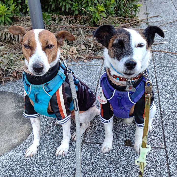 73c2bc19 971c 4ba0 b22f 65b9a2298166 1636065660444