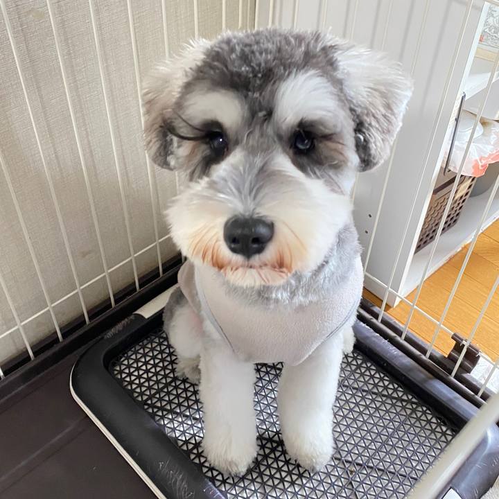 73c2d589 7beb 4a8b bd41 6338057be1e3 1581222465689