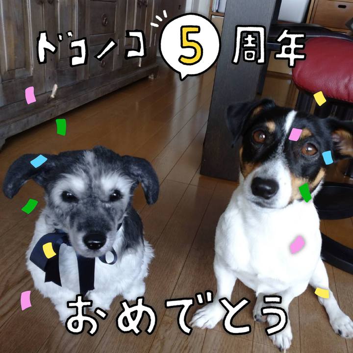 73c2d898 5dbb 4384 84ff 4d99232ecd32 1622878957200