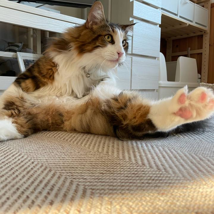 73c2e16a b389 456b b088 cbbc737da943 1653429871882