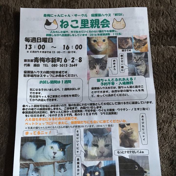 73c2ec46 4fa7 4a91 81d0 ba9493510069 1515836303241