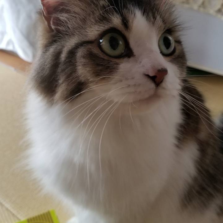 73c315a2 3700 4fea a534 0d5f25c0775d 1537053206485