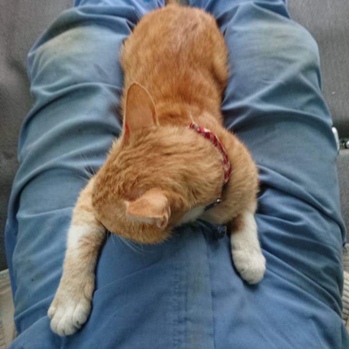 73c344c0 803c 43a8 b270 c05a6fa8d279 1560071750385