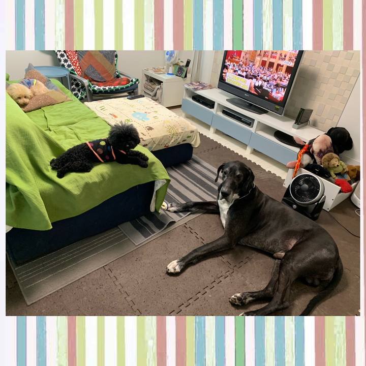 73c349dd dcd2 4d2e 8d50 25d76a77acf7 1558305539851