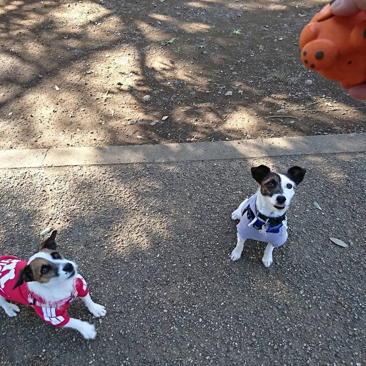 73c357ae 5b88 49d2 b327 3b06bbf10111 1540977307589