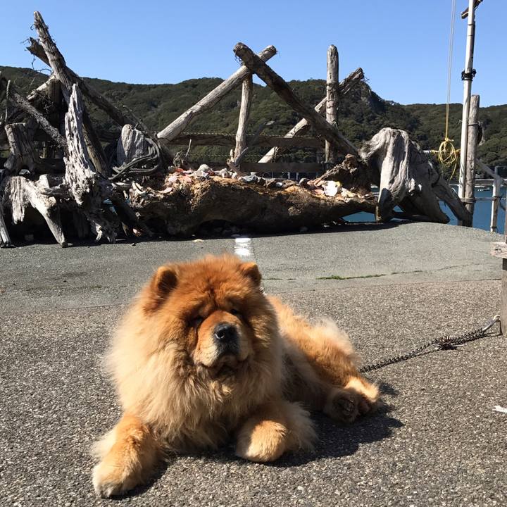 73c36944 2bb2 4b1f ab98 8797b0943ab4 1521562754114