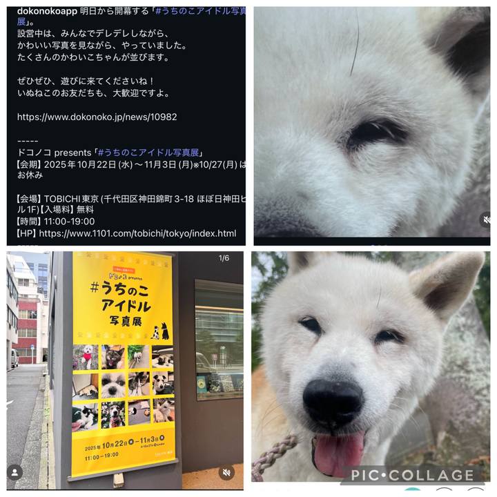 73c37c83 9874 4f0f ad58 c3fe83c46203 1761053652148