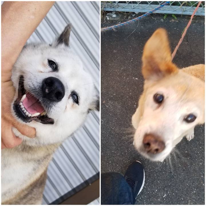 73c39266 daae 4373 b107 56a017ed955e 1753413771887