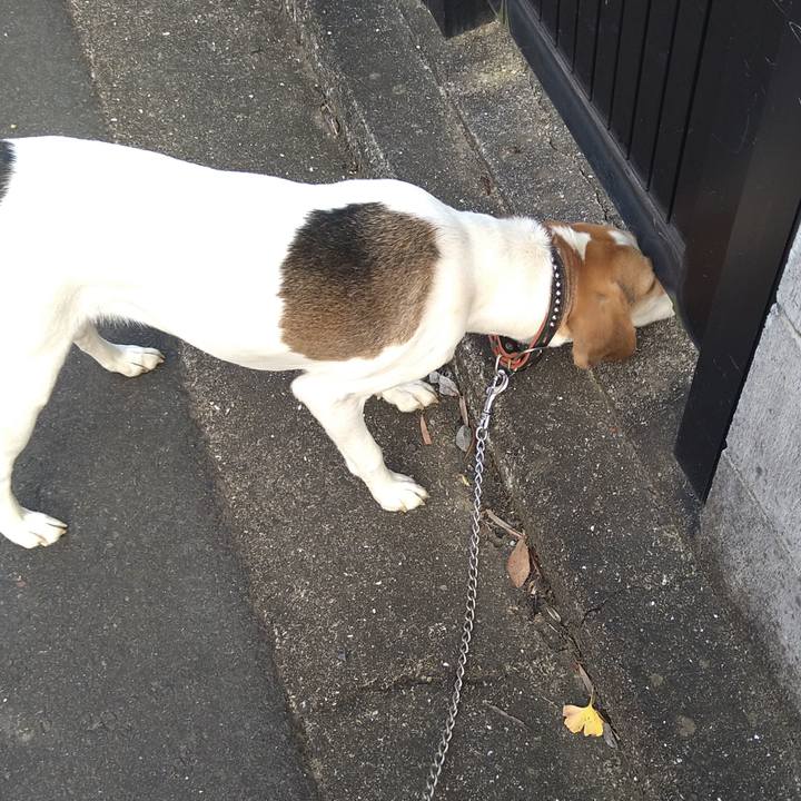 73c3afb2 7f5d 4614 9b4a 98b5d961fb70 1636870314112