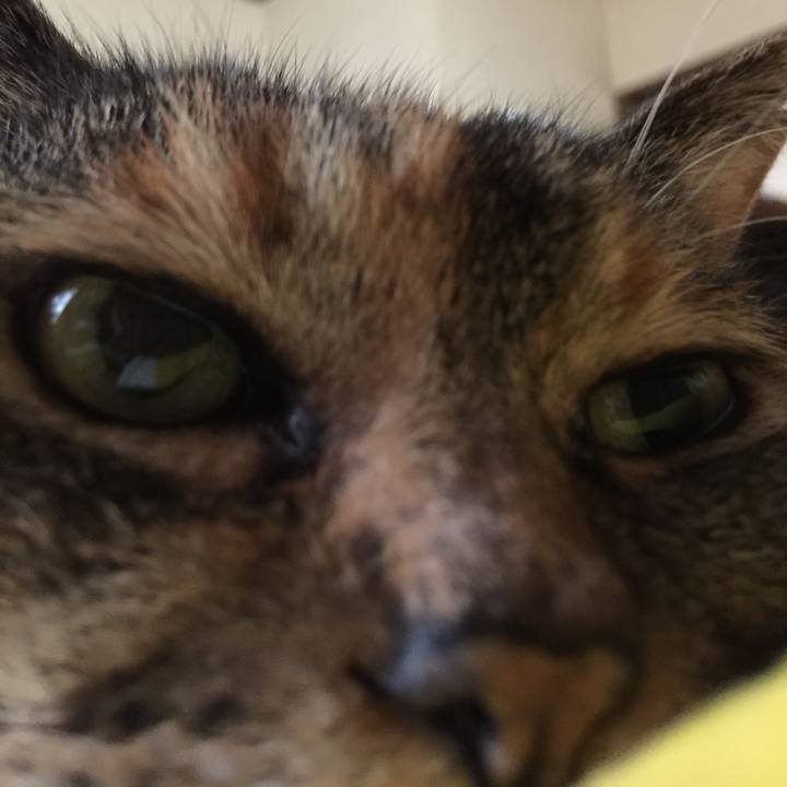 73c3dccd 0772 4031 aa3c 51e8c85ee767 1527057931552