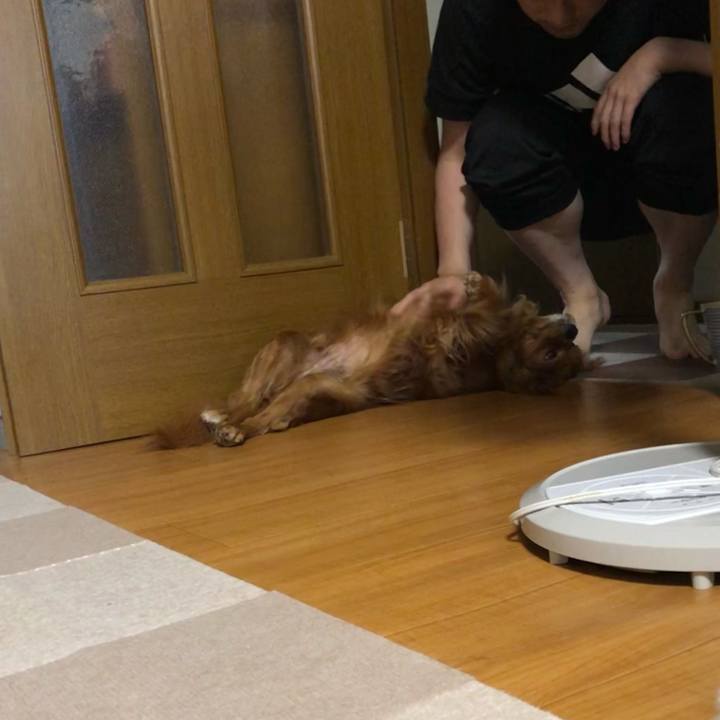 73c42e6f 0cd9 464c be97 9e5ceaca32a6 1624746854378