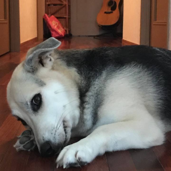 73c4456a b076 4dbb 8595 902389a46d14 1531926787007