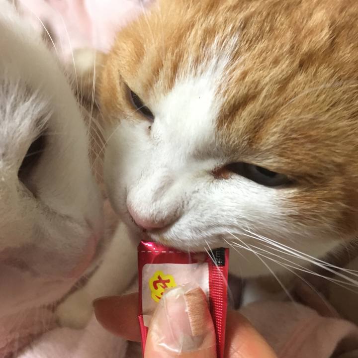 73c45794 f7ba 4a05 9e8b fc14bd4f40cf 1553518152685