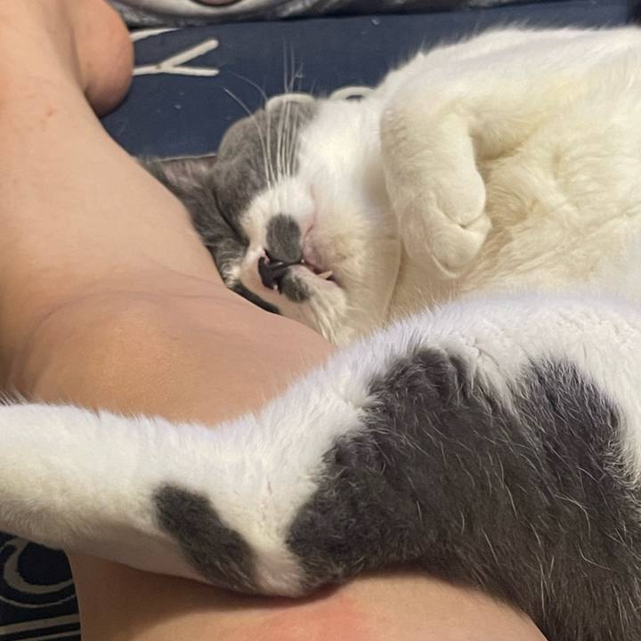 73c45980 3a5c 4bf8 a60c a5dd34af274e 1726233022616