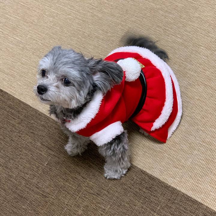 73c464bd f961 44a0 b0fd c138f39016e2 1544859242824