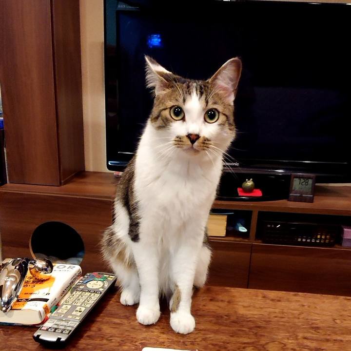 73c47663 831d 478d b167 a10743dd0136 1591342079361