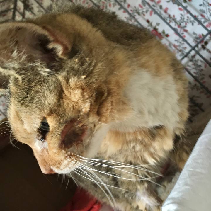 73c4b3bf 7960 4f41 a79d 4c86e28cb14f 1577692622673