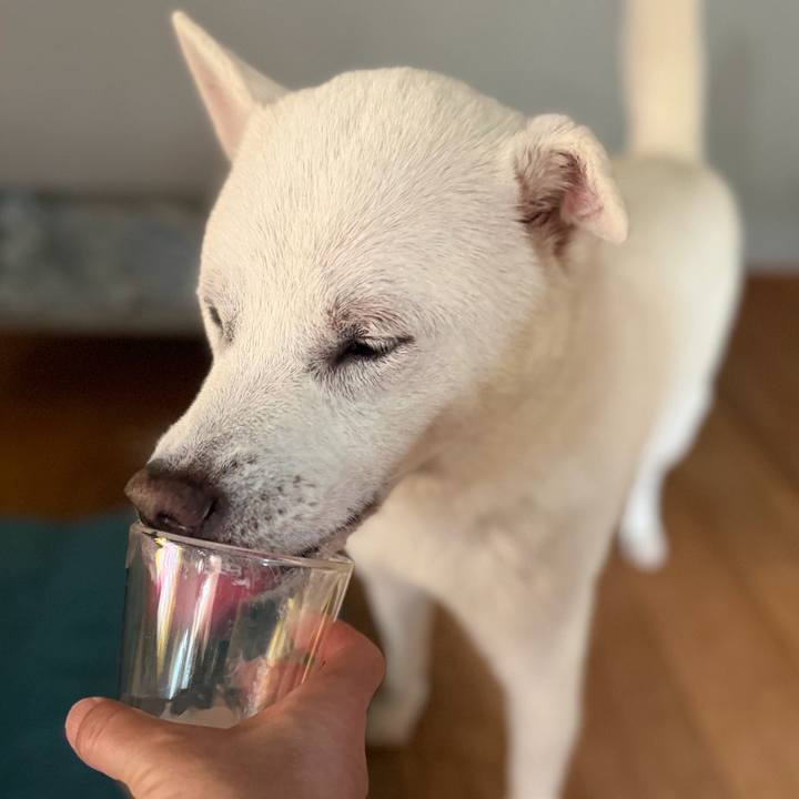 73c4ff74 b44f 4136 ad16 e07b3aea7fd7 1768737644309