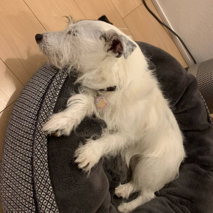 73c4ff86 31a0 48f9 804b bc22e9135e05 1660128955330