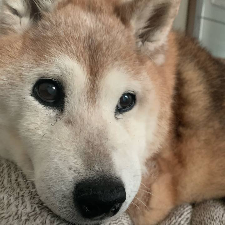 73c5171d 3a82 45b5 a421 1b9f25982246 1687618105718