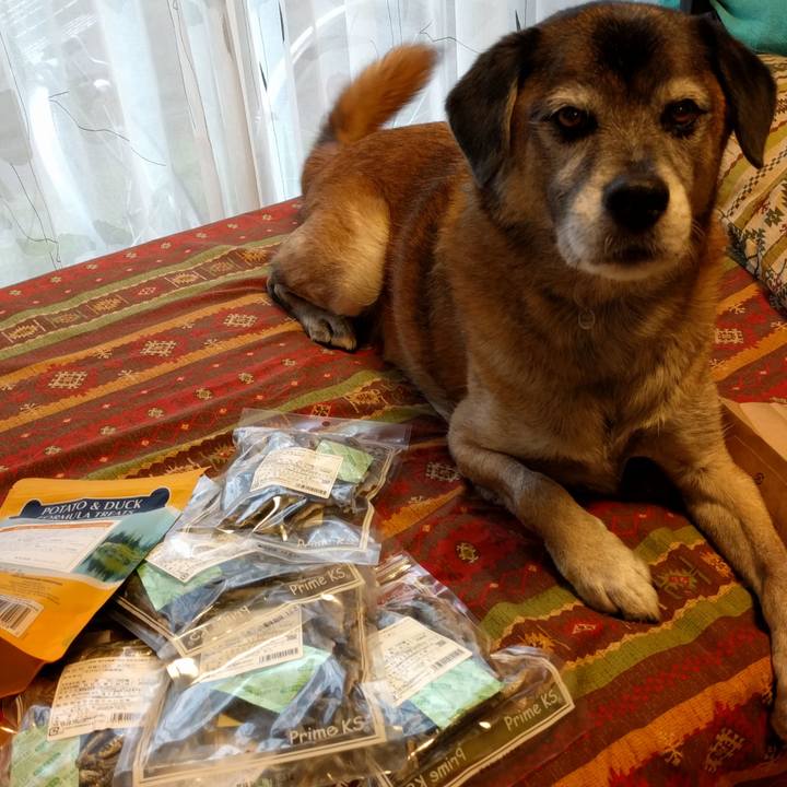 73c51b47 92ec 4568 b627 050104e391a2 1507873921048