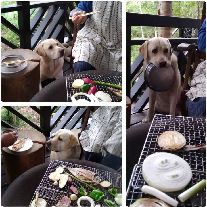 73c52ee4 d0ab 4b7a a970 a7080ce49e81 1628692470007