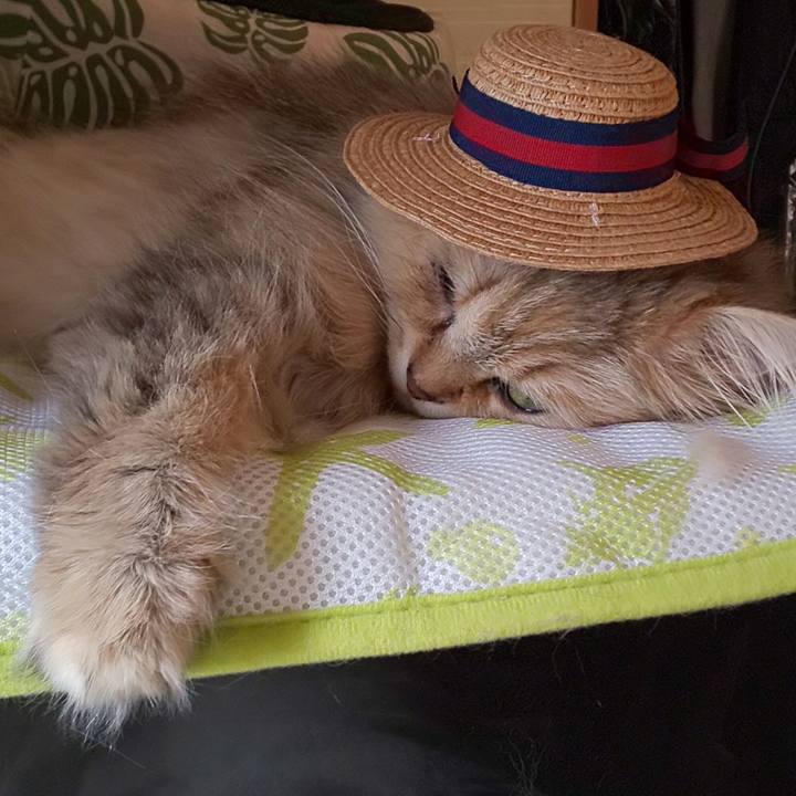 73c53881 7ab2 45f7 9f08 158905ff6194 1622440824333