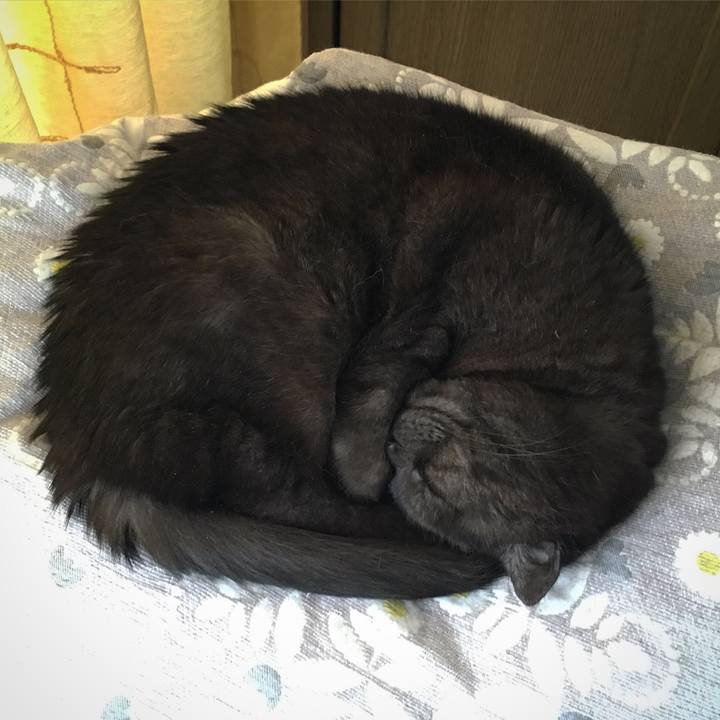 73c59a0b 1f69 4e0c 8475 c97c21d5e7a0 1522504417400