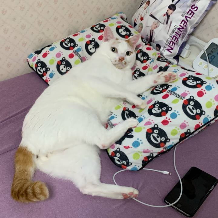 73c5a4ff 02a4 4813 b37f cf54b8c47d9f 1625950959799