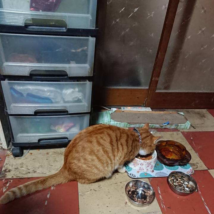 73c5b802 127c 40f8 8283 a89972e58b7c 1572816740442