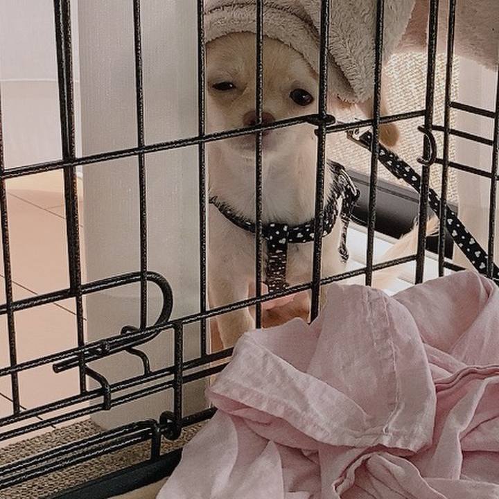 73c5cb52 c250 4818 9f2c 1ee260465566 1592185663381