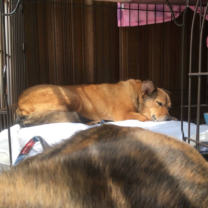 73c5f687 4c54 490a bdb2 bcd39ce70561 1553833376684