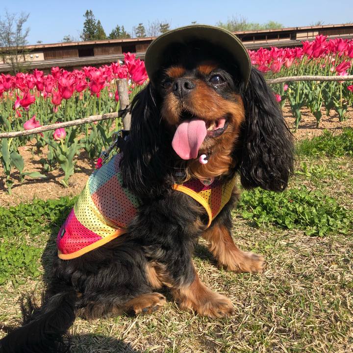 73c61936 68c0 44f1 b317 32f8ce758858 1528203905706