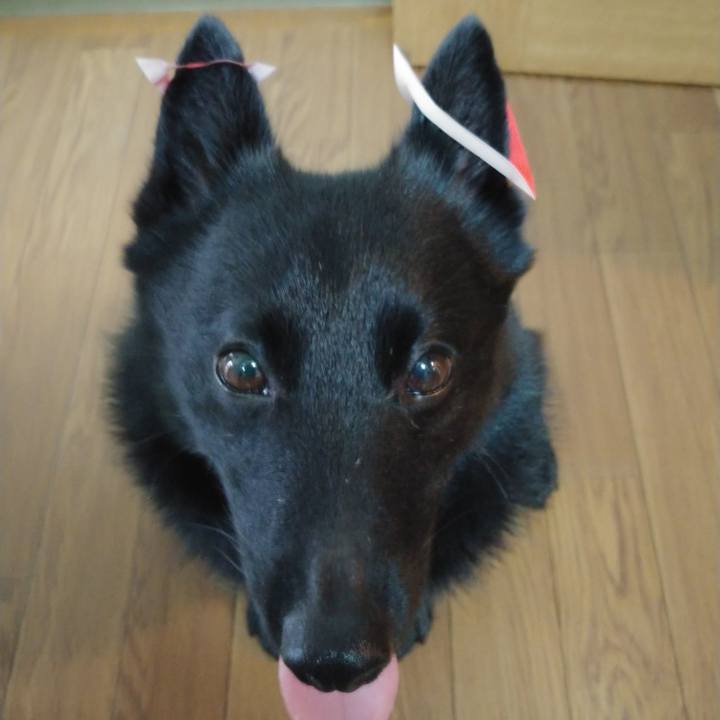 73c63fe1 2a78 401a 8a40 6e51db845243 1621410653727