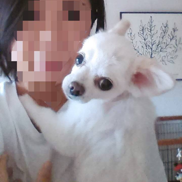 73c65295 54bb 45aa 98f6 f20687198fd8 1622986868638