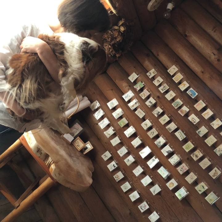 73c66410 47bc 429f b49c b7dfa5feb780 1621152360828