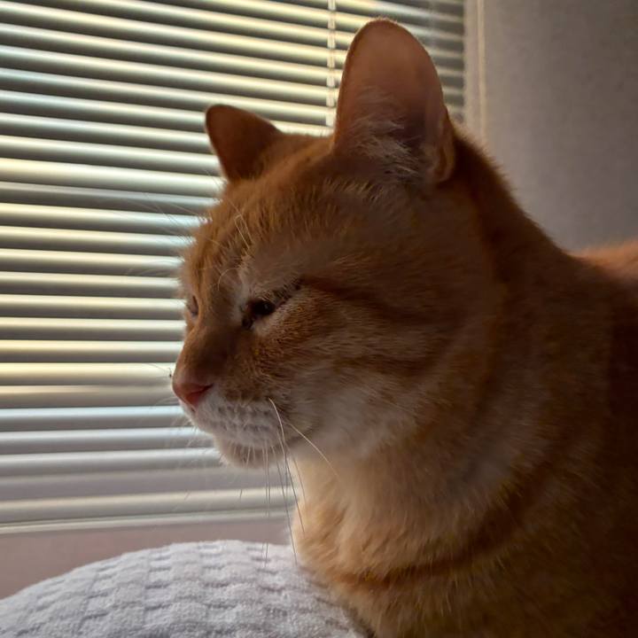 73c68f25 0a39 428b bd0b 37c5c636f915 1774385709047