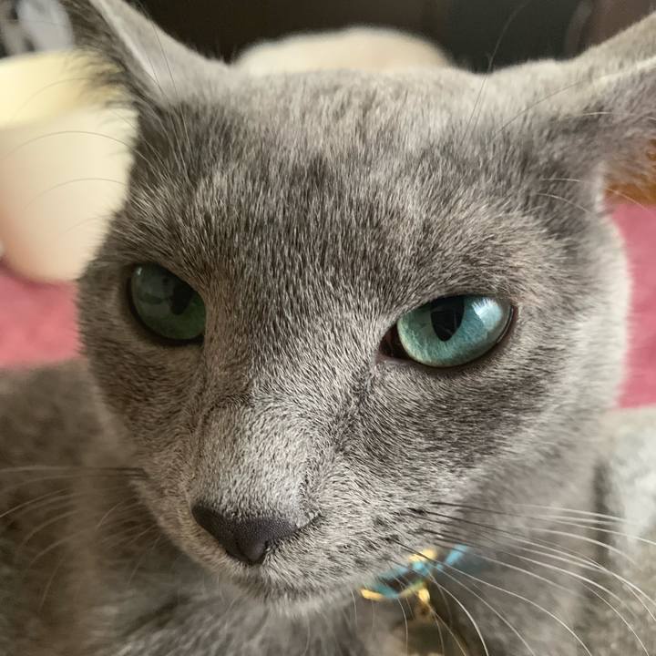 73c69c1f cffb 4179 bfd0 40e646b0bbe9 1576631297839