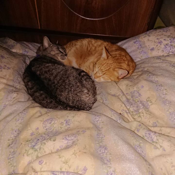 73c69d2b 6345 4a8f bdf2 c7f3711a3d33 1580138776210