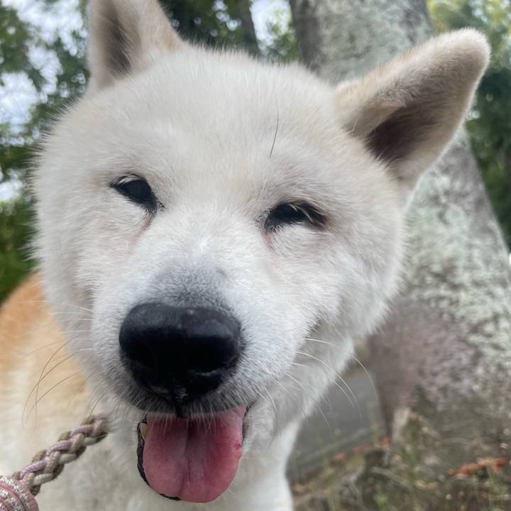 73c6dfdb b91e 45ca b9f1 880ea3994869 1759026405000