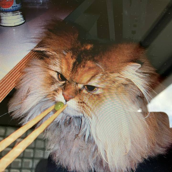 73c73046 0933 4ff5 b65e 4788340fed94 1763781146288