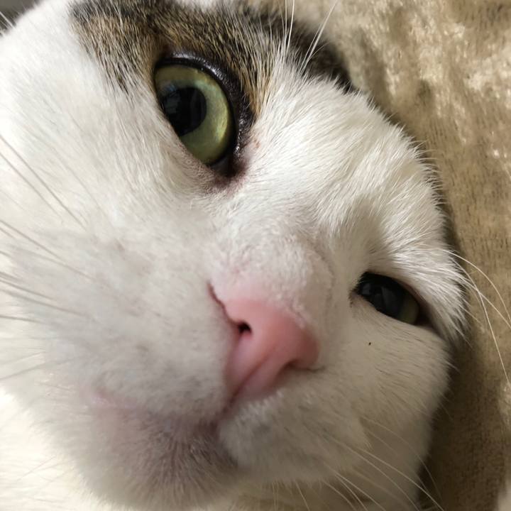 73c75dd5 663f 4b18 bc90 6e9a5470d6bd 1566043244313