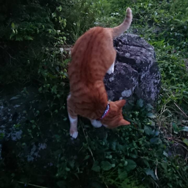 73c77b22 978a 4937 bb9b aa1ffae2e96e 1568884476096