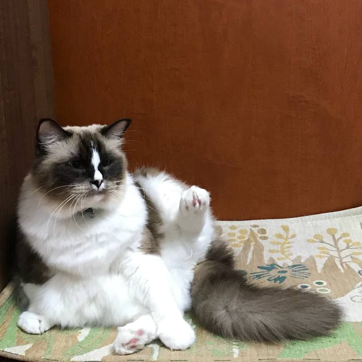 73c78d24 eeec 42ae 9d92 6738826bc051 1510578625610