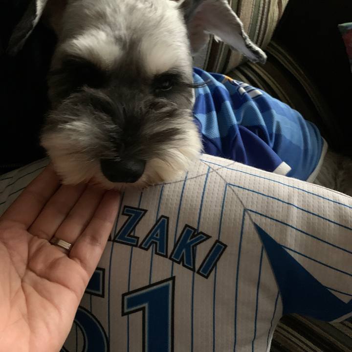 73c7b47e ef4e 4227 b1ef aaed6641b827 1602396563620