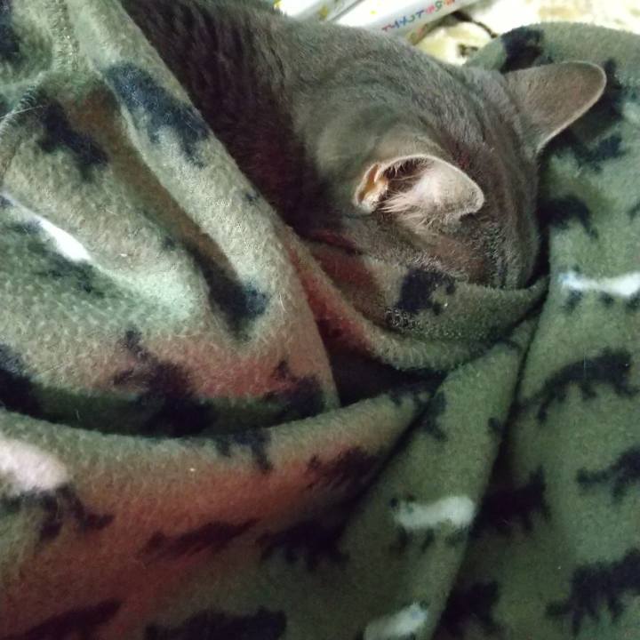 73c7f0ef 91c1 45a1 96dd a9bc424f6807 1674946464194