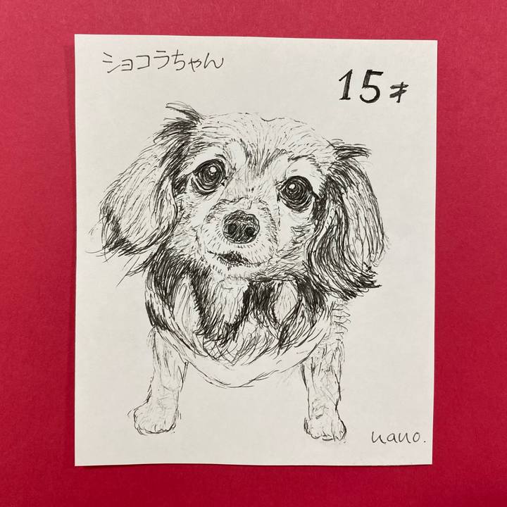 73c81238 dd7d 4bef 8f1a c800257e0373 1647073468806