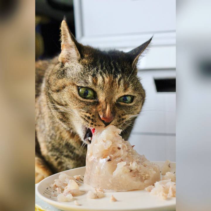 73c83333 a06f 46c8 8fd5 58b903187301 1688076741096