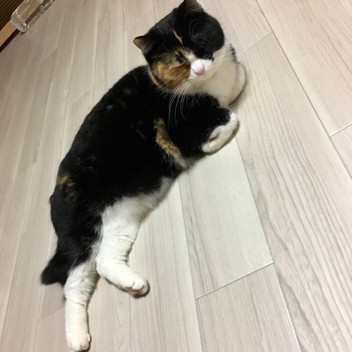 73c86390 bc36 498a 9090 80c89842801e 1518446454138